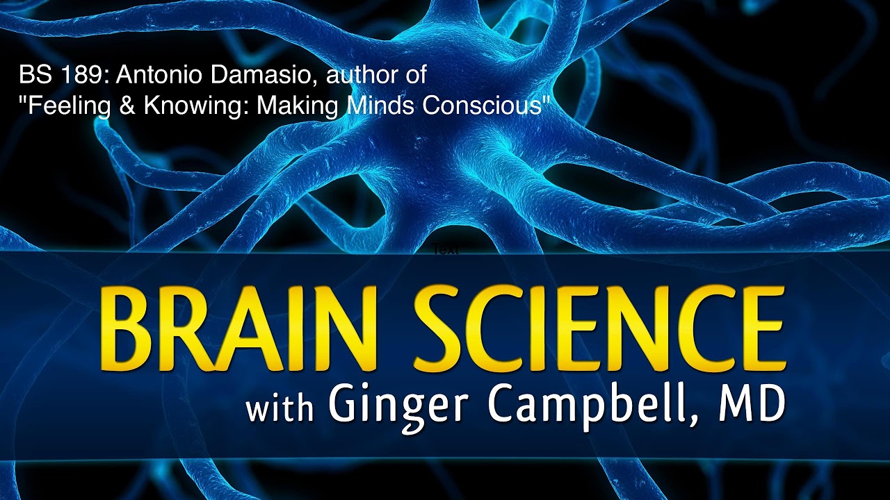 BS 189 Antonio Damasio, author of "Feeling and Knowing"