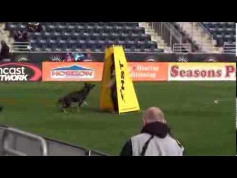 2013 WUSV WM Theo von Kyoto Masuda C87