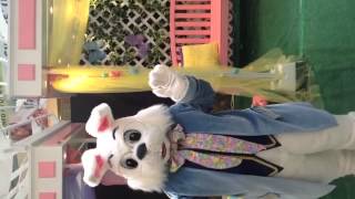 &quot;Easter Bunny Hop&quot; Fan Video
