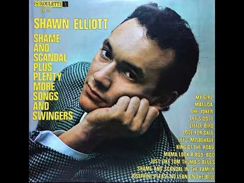Shawn Elliott - Little bird