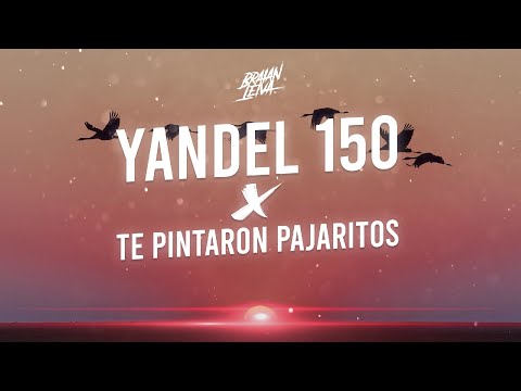YANDEL 150 x TE PINTARON PAJARITOS (MASHUP) - Braian Leiva