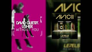 Download lagu Without you X Levels (David Guetta x Avicii Tiktok Mashup) mp3 Download lagu Without you X Levels (David Guetta x Avicii Tiktok Mashup) mp3