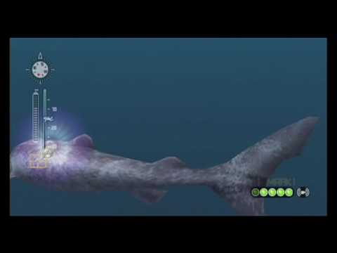Endless Ocean 2: Der Ruf des Meeres - Trailer