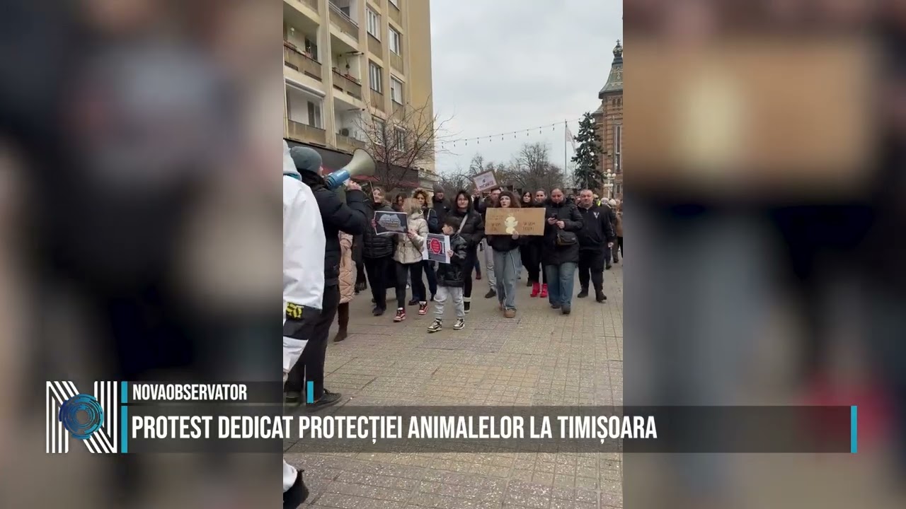 PROTEST DEDICAT PROTECȚIEI ANIMALELOR LA TIMIȘOARA