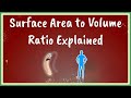Surface Area to Volume Ratio Explained
