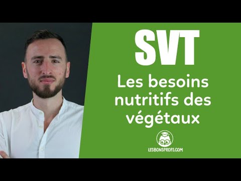 Les besoins nutritifs des végétaux