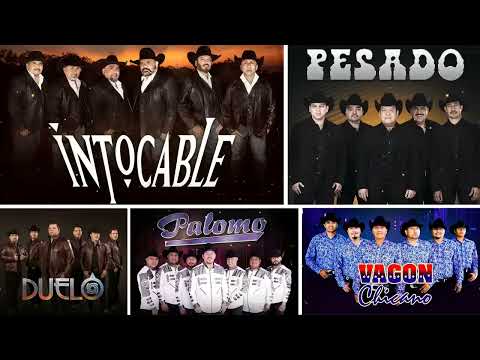 Mix Pesado, Intocable, Palomo, Vagón Chicano, Duelo Exitos - Puros Corridos Mix