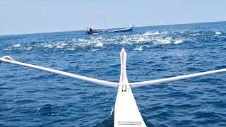 Download lagu berburu ikan cakalang menggunakan jaring sederhana. hasilnya juga bisa banyak. mp3 Download lagu berburu ikan cakalang menggunakan jaring sederhana. hasilnya juga bisa banyak. mp3