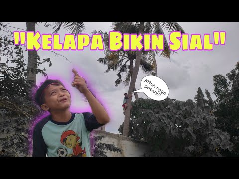 film-pendek-lucu-kelapa-bang-sani-film-pendek-betawi-lucu