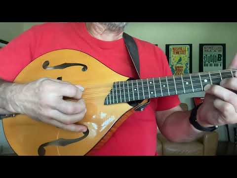 Collings MT Mandola 2013 - Gloss top, satin sides & back image 6
