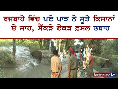 ਰਜਬਾਹੇ ਵਿੱਚ ਪਏ ਪਾੜ ਨੇ ਸੂਤੇ ਕਿਸਾਨਾਂ ਦੇ ਸਾਹ, ਸੈਂਕੜੇ ਏਕੜ ਫ਼ਸਲ ਤਬਾਹ