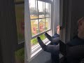 I Got A Window Bird Feeder For My Cats