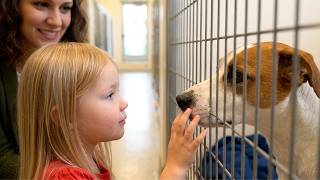 She Lost Her Best Friend... Then Found Her Dog in a Shelter