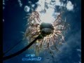 One eskimO - Sunny Day DEMO 