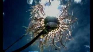 One eskimO - Sunny Day