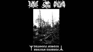 12. Autumn Leaves  (Burzum Cover  by ElixiR)