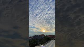 Download lagu Story Wa Pagi hari mp3
