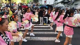 日本東北山形花笠祭，花笠舞遊行：沒有花笠的彩球啦啦隊風格。