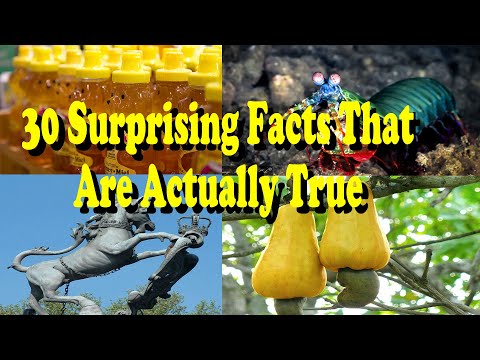 30 Surprising Facts That Are Actually True