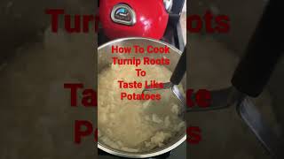 Download lagu Cooked Turnip Roots to Taste Like Potatoes mp3