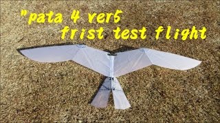pata 4 ver5 Forward tilting wing First test flight