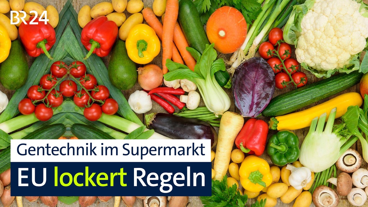 Gentechnik im Supermarkt: EU lockert Regeln | BR24