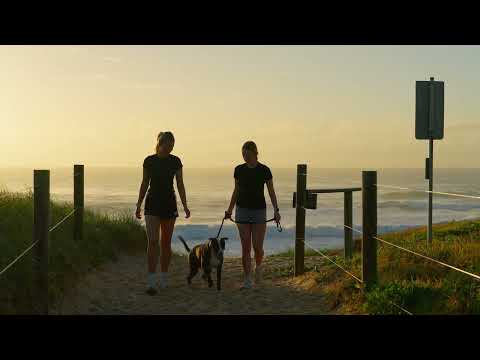 9 Akounah Crescent, Buddina, QLD 4575, 6房, 4浴, House
