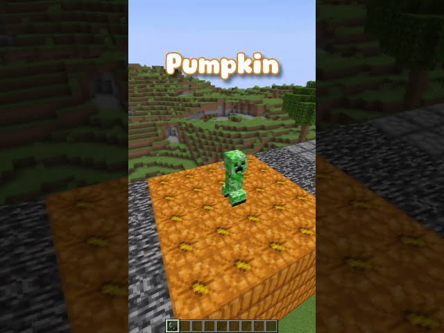 Vídeo relacionado con Minecraft Creeper Chanclas Sandalias Niños | Boys Girls Green Block Pixel Game Sliders | Niños Adolescentes Villano Zapatos de Verano