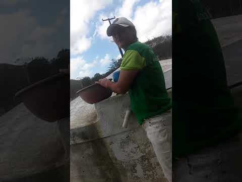 Continua são da trolagem com a minha tia