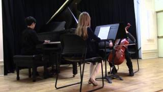 Ode To Joy recital at BCM - Julian Raheb with trio 1/31/2016