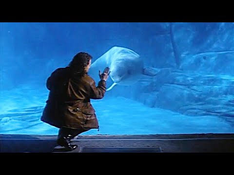 The Hitman 1991 (Chuck Norris)