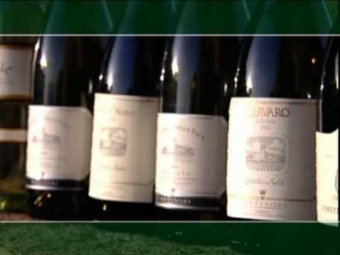 Marchesi Antinori video