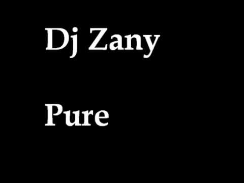 Dj Zany - Pure