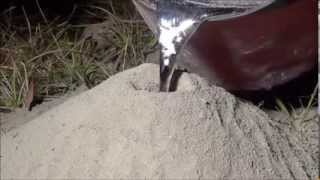 preview picture of video 'Casting Ant Colony With Molten Aluminum'