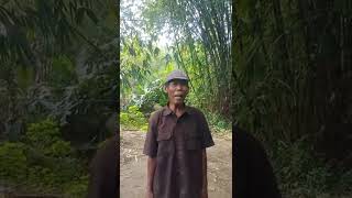 Download lagu pantun sunda..eps.1 mp3 Download lagu pantun sunda..eps.1 mp3