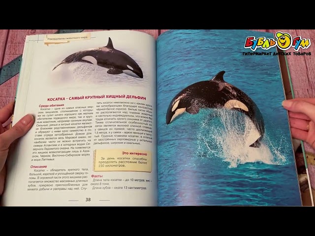 Энциклопедия для детей Рекордсмены животного мира - видео