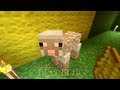 Minecraft Xbox - The Hungry Sheep [90] 