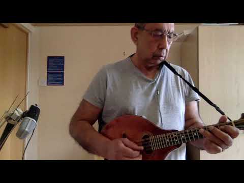 Ektuku Choa Lage Tagore song on mandolin