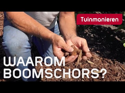Waarom schors of houtsnippers in de tuin? | Droogte | Tuinmanieren