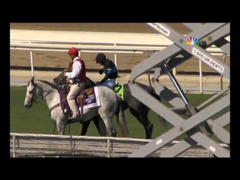 02.11.2013 Santa Anita Park (USA) 07.Race Breeders´Cup Turf Sprint 2013 - Group I 1.307 m
