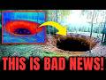 Mel S Hole Was Just Scanned By An AI And It Revealed Something No One Expected