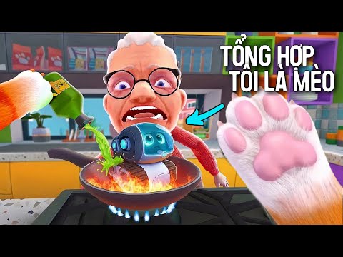 Tổng hợp Mèo Con Lom Dom trốn nhà người bà kì quái trong I am Cat