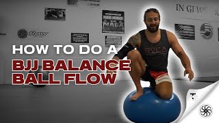 HOW TO DO A BJJ BALANCE BALL FLOW