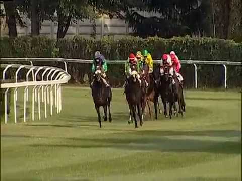 2016.09.18 Premio Federico Tesio (ITA) - Full Drago