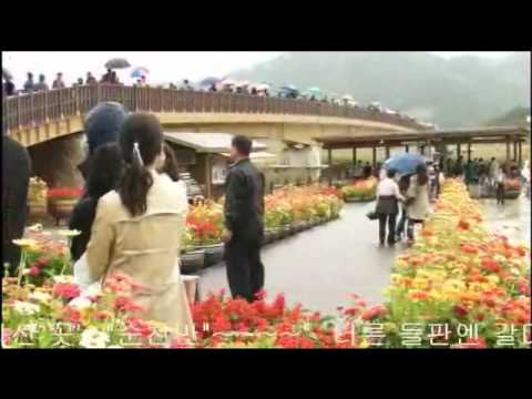 순천만 갈대 축제