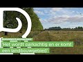 Natuurgebied de Vlinderstrik dit najaar klaar voor gebruik