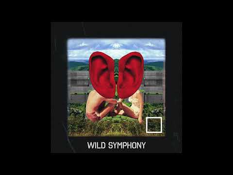 Wild Symphony - Mashup [Clean Bandit feat. Zara Larsson vs. Wahlstedt x Jake & Kellini]