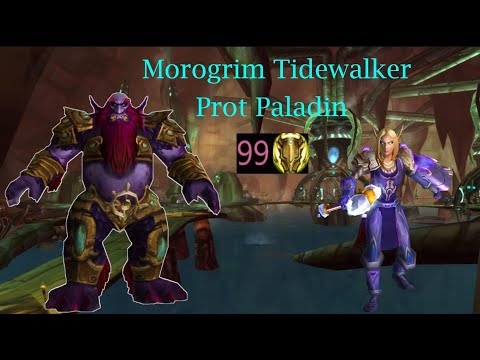 Morogrim Tidewalker Prot Paladin POV #48 World Parse - TBC Classic
