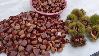 밤 저장 하시기전에 이영상 꼭 보세요