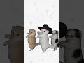 Gatos bailando el trend de la Calabaza 🎃